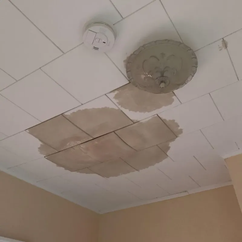 Ceiling Water Damage Repair in Manteo, NC